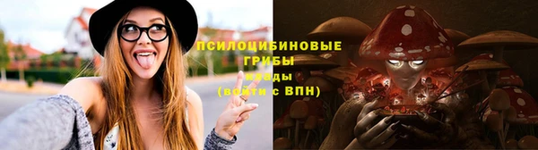 spice Арсеньев