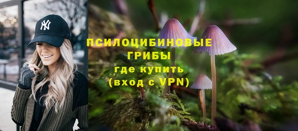 бошки Армянск