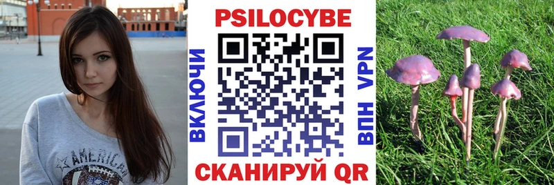 Галлюциногенные грибы мухоморы  Североморск 
